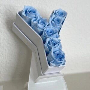 Venus Et Fleur Mini Letter Y Real Roses In Baby Blue With Stand, New.